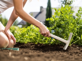 Rokas kaplis - PASTEL - pasteļa debeszila - CELFFAST - 