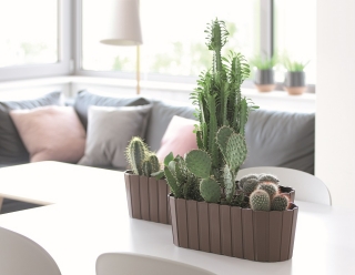 "Boardee Case" box - 38.3 cm - brown