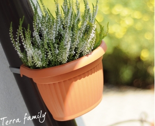 Κρεμαστά γλάστρες - Terra - 28 εκ. - Τερακότα - 