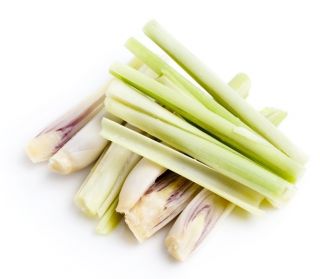 citrongræs - 400 frø - Cymbopogon citratus