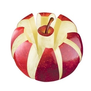 Kráječ a jádro jablka - PRESTO - 