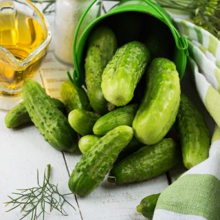 Pepino - Polan - 100 gramas -  Cucumis sativus - sementes