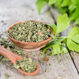 Сельдерей пахучий - Green cutting - 520 семена - Apium graveolens