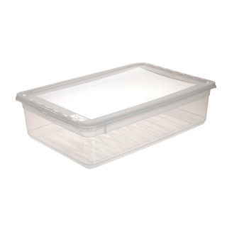 Transparent 11-litre Bea container with a lid