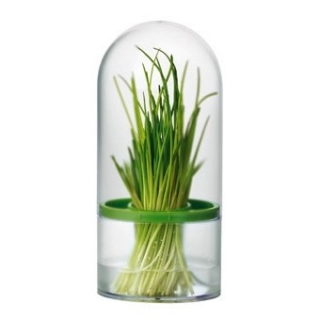 Urteopbevaringsbeholder - SENSE - 