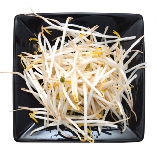 تنبت بذور BIO EKO بالرشاش الكبير - فول مونج - بذور عضوية معتمدة - 