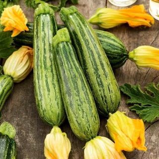 Lajkonik courgette, zucchini - 100 gram - 