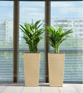 एक डालने के साथ स्क्वायर फ्लावर पॉट - फाइनज़जा डोलुटो - 25 सेमी - कैप्पुकिनो - 