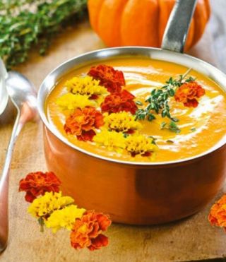 खाद्य फूल - फ्रेंच मैरीगोल्ड - रंग विविधता मिश्रण - 