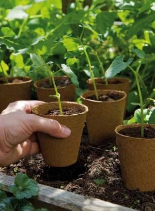 गोल पीट के बर्तन ø11 x 13 सेमी - 5 टुकड़े - 