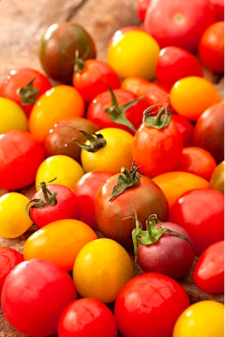 Körsbärstomat - blandning - Solanum lycopersicum  - frön