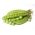 Pea "Boogie" - intensely green, with long tendrils