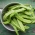Tarhapapu - Neckarkonigin - 20 siemenet - Phaseolus vulgaris L.