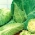 Кочанная капуста - Express - белый - 200 семена - Brassica oleracea convar. capitata var. alba