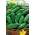 Almindelig Agurk - Rufus - 90 frø - Cucumis sativus