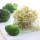Broccoli Sprouts