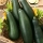 Zucchini 'Soraya' - 100 g
