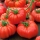 Tomato "Marmande" - sweet and fleshy - 200 seeds